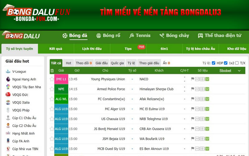 Tìm hiểu về nền tảng Bongdalu3