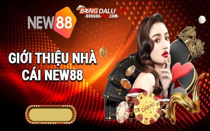 Sơ lược về nhà cái